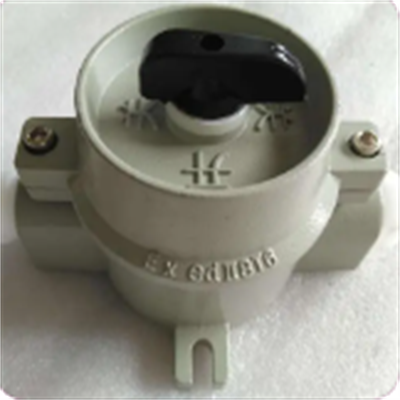 SW-10 220V Ͻѹ IP65 ˮƿس