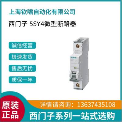 5SY41106 西门子 全新原装正品 5SY4 高分断微型断路器5SY4110-6