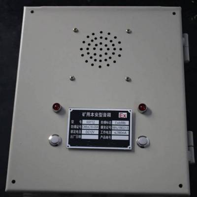KXY127矿用隔爆兼本安型音 箱 应急广播装置 防爆本安型音箱