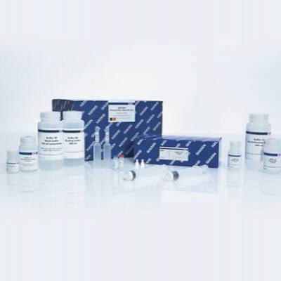 Qiagen 12943 Լ 25T