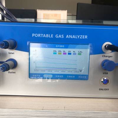 PUE-601便携式热值分析仪手提式热值多组分分析仪