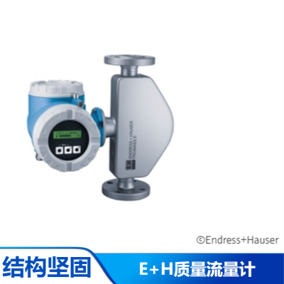 E+H 质量流量计 80F100 抗震动液体测量83F080质量流量计 工业自动化仪表