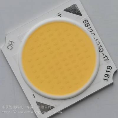 华辰智能30W 导轨灯筒灯COB