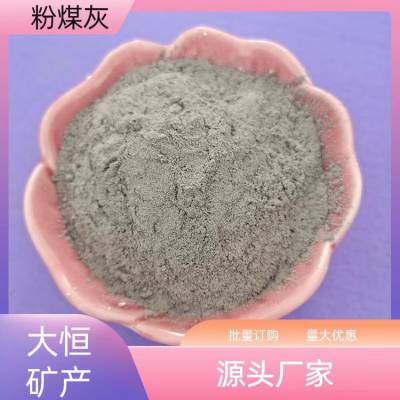 实验室 自流平 用粉煤灰 耐火保温材料 微小灰粒 细灰