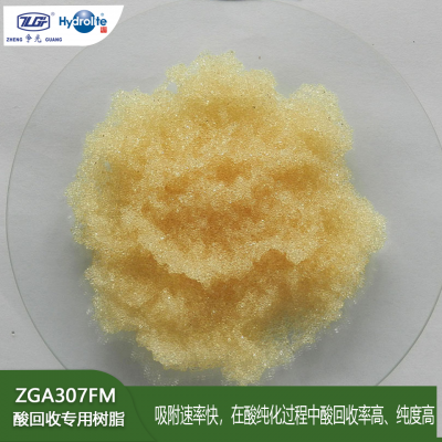 ZGA 307FM һרմļӽ֬֬ӵضĻԻšݿ׵