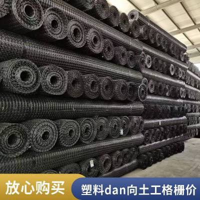 HDPE单向拉伸塑料土工格栅 路基挡土墙加固用 世杰 PP单向格栅