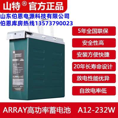 代理山0特ARRAY系列A12-232W铅酸蓄电池UPS不间断电源电瓶12V62AH