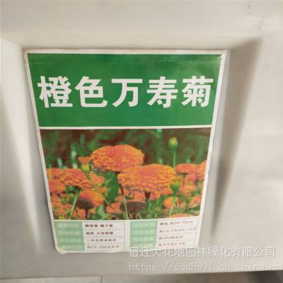 优质新菊花种子 万寿菊种子 发芽*** 价格便宜 ***