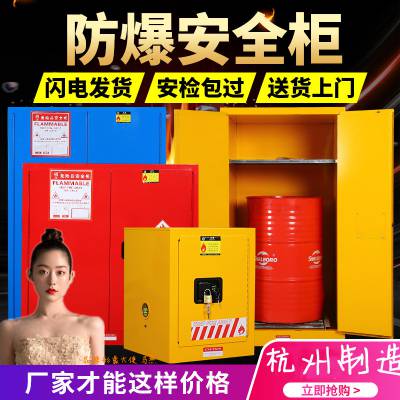 防爆柜 危化品储存柜工业化学品安全柜12/30加仑易燃品防火防爆箱