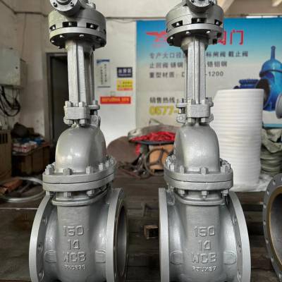 轻体防护明杆闸阀（球铁）喷塑Z41T-10/16Q-DN200 工业用闸阀