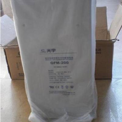  GFM-200  2V200AH UPSҵר