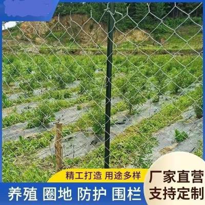 喷浆客土喷播植草挂网 动物园养殖铁丝网 球场包胶围网