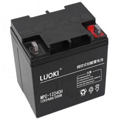 LUOKIMPC12-24ʽǦ12V24AH/20HR