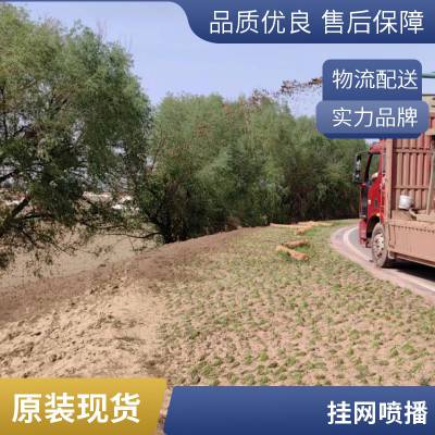 荒山复绿喷浆挂网植草镀锌菱形全国施工客土喷播护坡低碳钢丝网