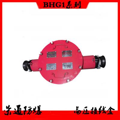 ø͸ѹߺBHG1-200/610-2Gߺжͨ