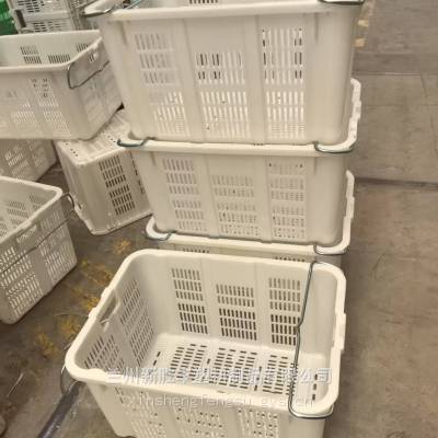 固原塑料筐中卫塑料带铁耳菜筐139,1903,1250