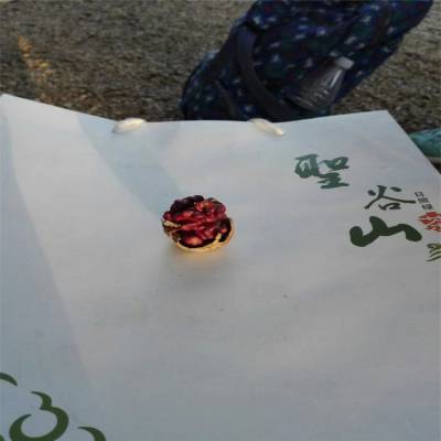 清香核桃苗需冷量清香核桃苗种植气候