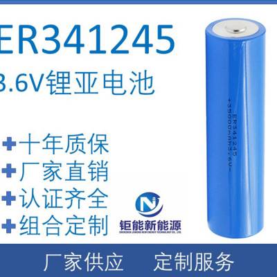 ER341245ҹӦǵ36000mAh3.6VһǵER341245