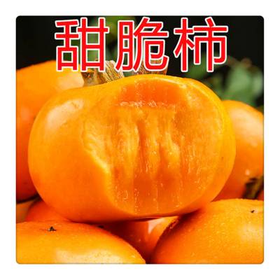 早熟柿子树苗品种 大秋甜柿 脆甜多汁 水果柿子苗批发