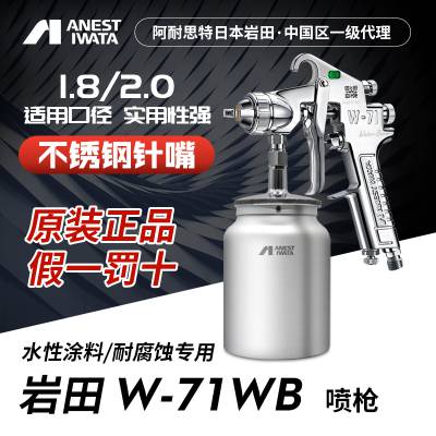 岩田*** W-71WB水性漆 高腐蚀酸碱油漆涂料液体用喷枪上下壶