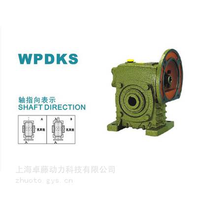 WPDKS200-30ŷϸ˼
