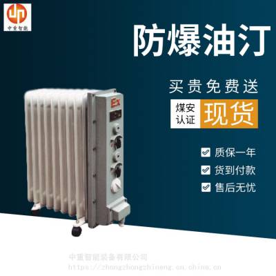 中重诚意出售 规格齐全 使用方便1.5KW防爆油汀