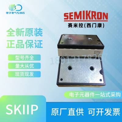 SEMIKRON赛米控SKiiP12NAB065V1 SKiiP12NAB066V1全新IGBT模块询价