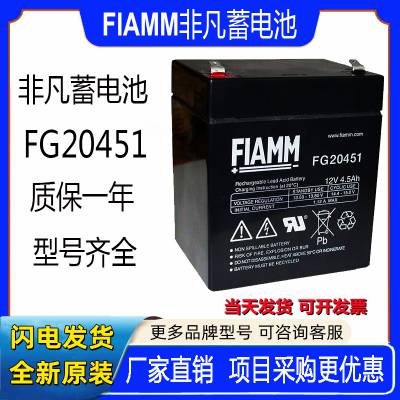 FIAMM***蓄电池FG20451铅酸免维护阀控式密封12V4.5AH