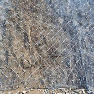 ���Ա��·�������һ���Ը�ǿ�ȸ�˿����Ϊ��Ҫ���ɲ��ֵ����Է���