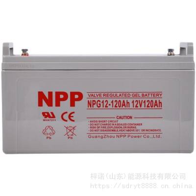 NPP12V120AHʽάǦNPG12-120 UPS/EPS