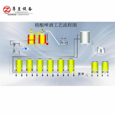 日产300L精酿啤酒设备、扎啤设备、啤酒机、酿酒设备