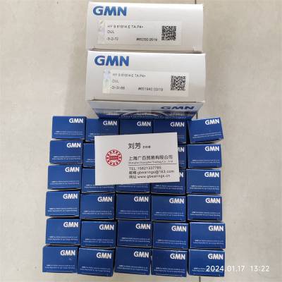 ¹GMN FK 6204 2RS FK 6205 2RS