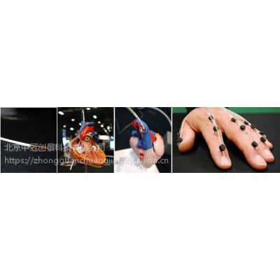 Polhemus Micro Sensor 1.8