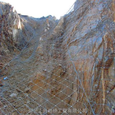 陕西省山体落石被动防护网厂家