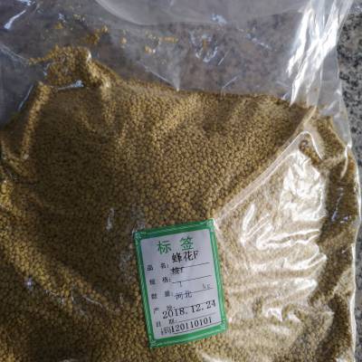 中药材蜂花功效与作用香蜂草 蜜蜂草 蜜蜂花 蜂蜜花 香水薄荷价格 中国供应商