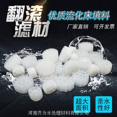 新疆 MBBR 流化床填料 高效脱氮除磷 寿命长 全新HDPE