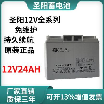 ʥSP12-24ܷʽ12V24AH UPS/EPSԴר