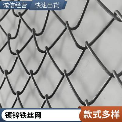 钢丝编织勾花网机 菱形护坡绿化网机 镀锌铁丝勾花网 隔离防护网机