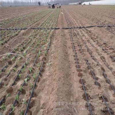 南平市灌溉设备有哪些蔬菜灌溉温室灌溉设备