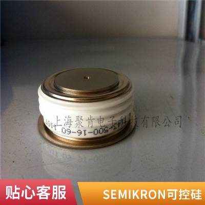 SEMIKRON西门康晶闸管 可控硅模块SKT1000/28E