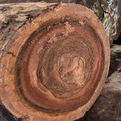 荣鸿红铁木 石家庄红铁木寺庙古建大料