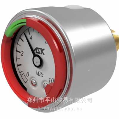 ASKѹOPG-DT-R1/4-39X16MPA-S-CR ; ѹΧ0-16MPa