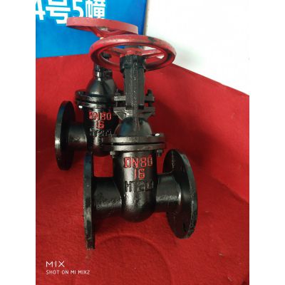 丽水市 低压暗杆铸铁闸阀【冠桓泵阀】Z45T-10/16 DN100 型号