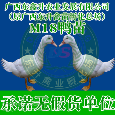 -ֳƵ-Ѽ-㽭