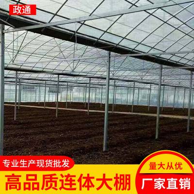 郴州蔬菜大棚基地规格齐全薄膜温室大棚