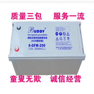 BUDDY6-CNJ-20012V200AHܴ۸