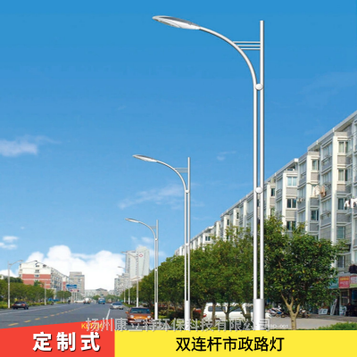 陕西LED路灯厂 大型市政道路照明 定制式户外亮化 异形灯具