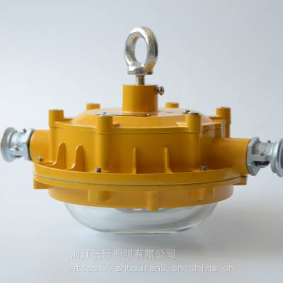 矿用隔爆型兼LED巷道灯DGS40/127L(A) 配件明细价格