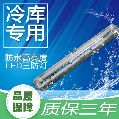 河南云轩单支T8灯管60公分冷库三防灯BLLK-SF1X9W-T8-60A防水防尘灯