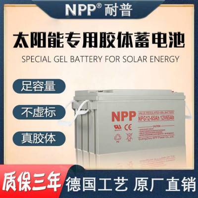 NP12-65 12V6***HǦάر